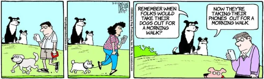 The Other Coast for Mar 11, 2025