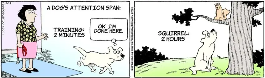 The Other Coast for Mar 14, 2023