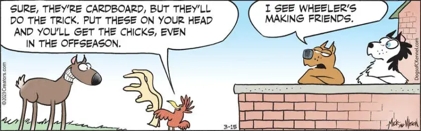 Dogs of C-Kennel for Mar 15, 2023