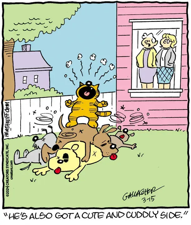 Heathcliff for Mar 15, 2024