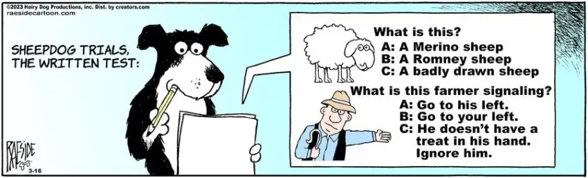 The Other Coast for Mar 16, 2023