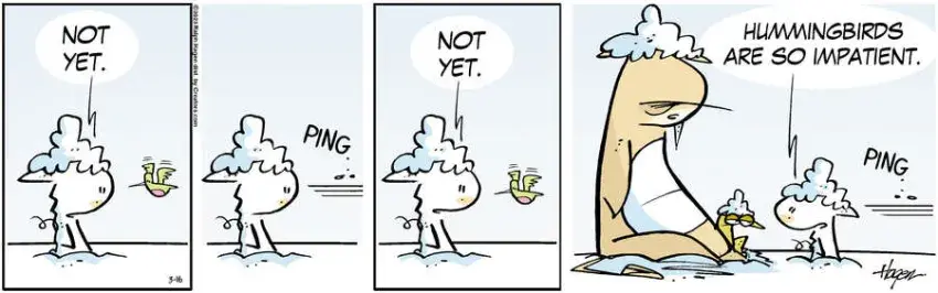 The Barn for Mar 16, 2023