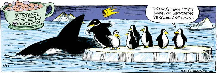 Strange Brew for Mar 17, 2024