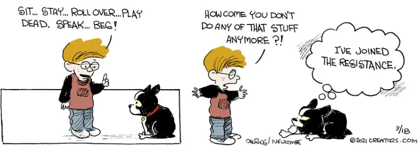 Zack Hill for Mar 18, 2021