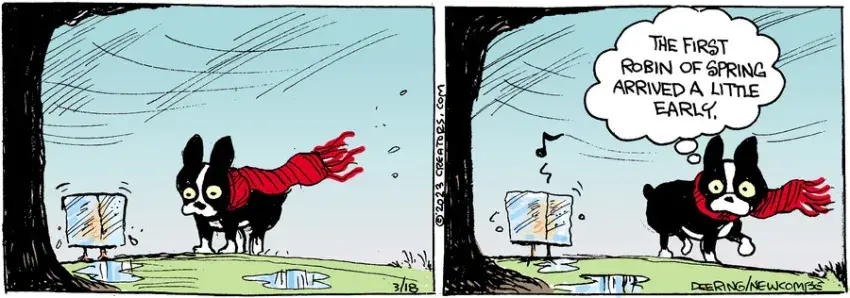 Zack Hill for Mar 18, 2023