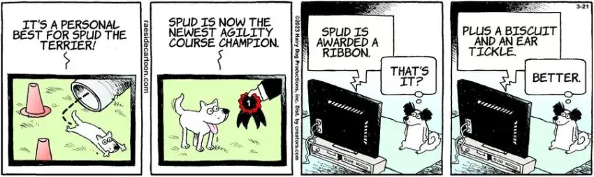 The Other Coast for Mar 21, 2023