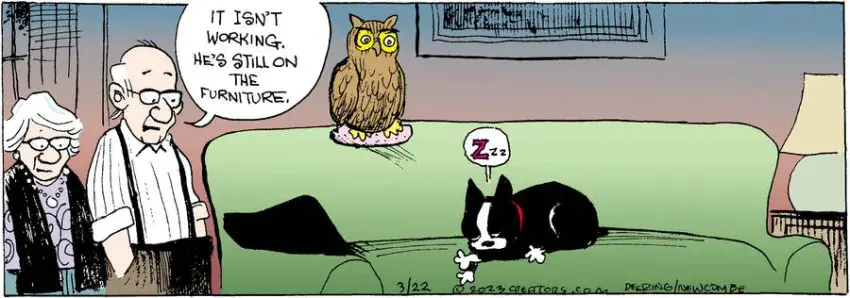 Zack Hill for Mar 22, 2023