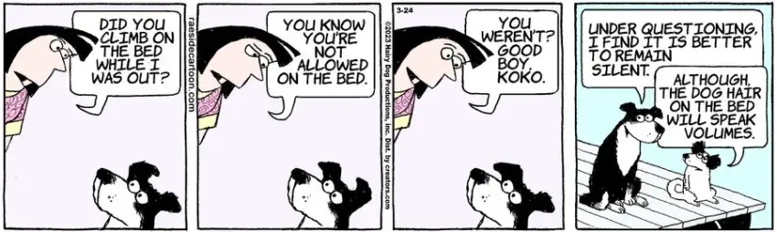 The Other Coast for Mar 24, 2023