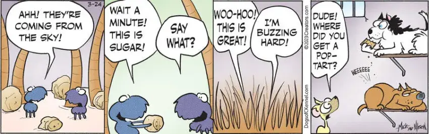 Dogs of C-Kennel for Mar 24, 2023