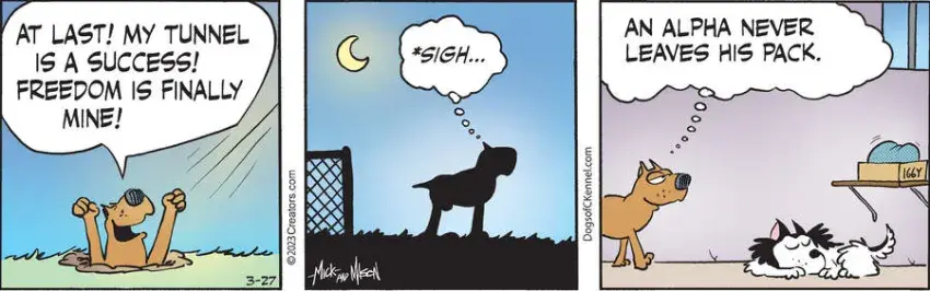 Dogs of C-Kennel for Mar 27, 2023