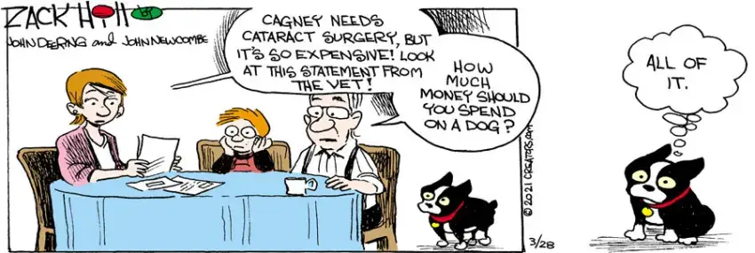 Zack Hill for Mar 28, 2021