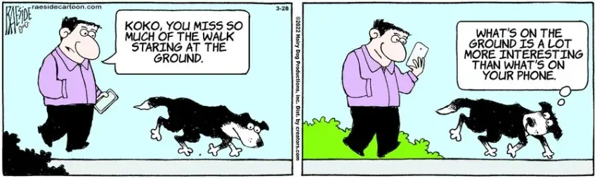 The Other Coast for Mar 28, 2022