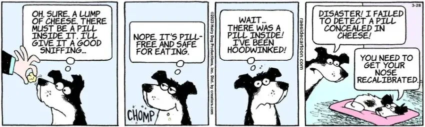 The Other Coast for Mar 28, 2023