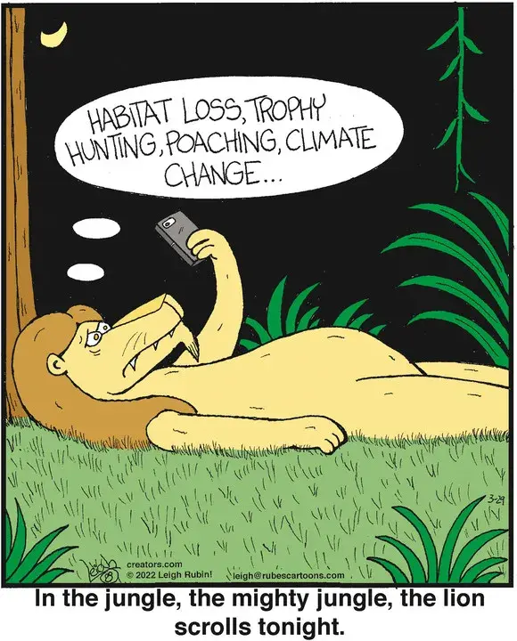 Rubes® for Mar 29, 2022