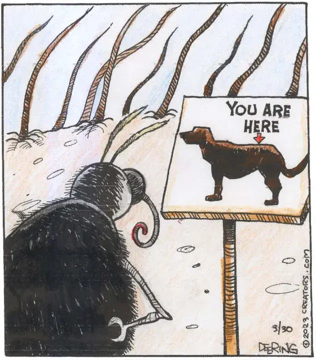 Strange Brew for Mar 30, 2023