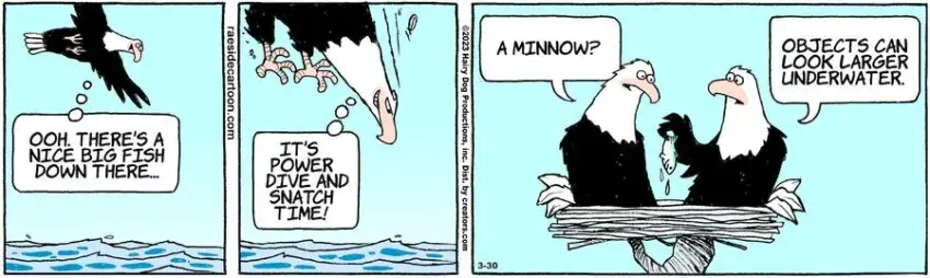 The Other Coast for Mar 30, 2023