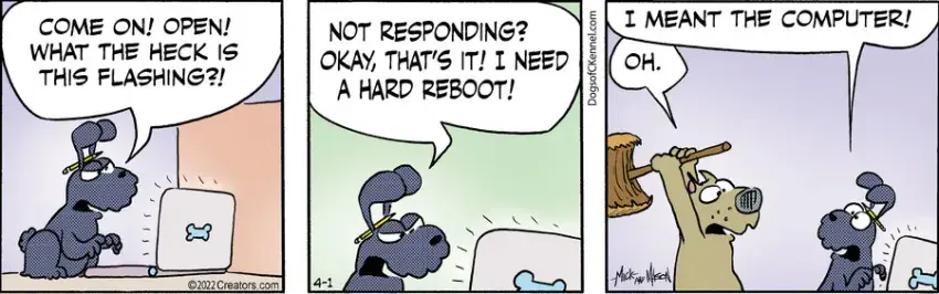 Dogs of C-Kennel for Apr 01, 2022