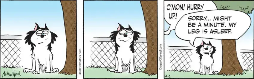 Dogs of C-Kennel for Apr 01, 2023