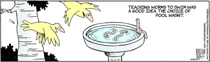 The Other Coast for Apr 03, 2023