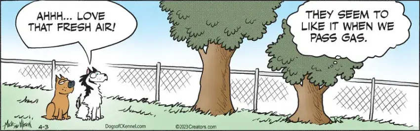 Dogs of C-Kennel for Apr 03, 2023