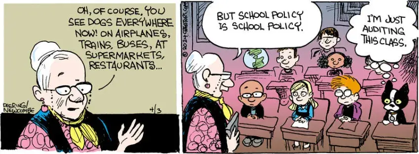 Zack Hill for Apr 03, 2024