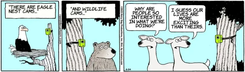 The Other Coast for Apr 04, 2023