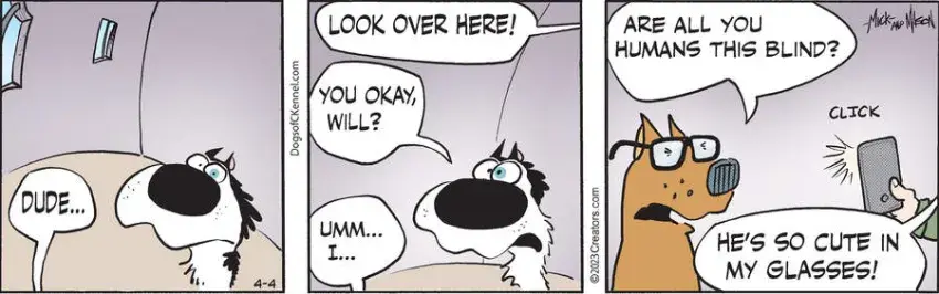 Dogs of C-Kennel for Apr 04, 2023