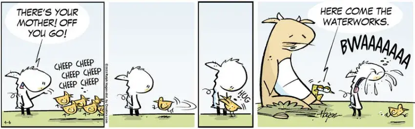 The Barn for Apr 06, 2023