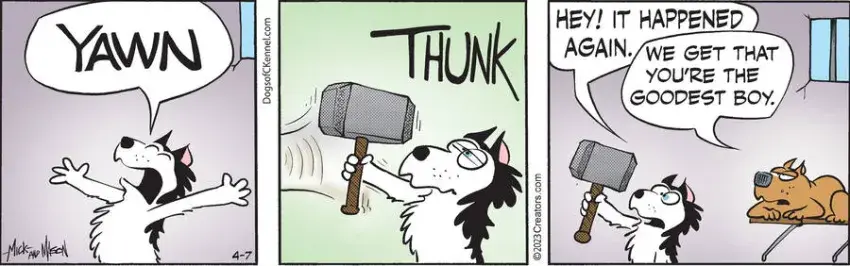 Dogs of C-Kennel for Apr 07, 2023