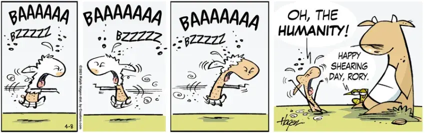 The Barn for Apr 08, 2021