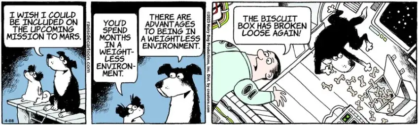 The Other Coast for Apr 08, 2023