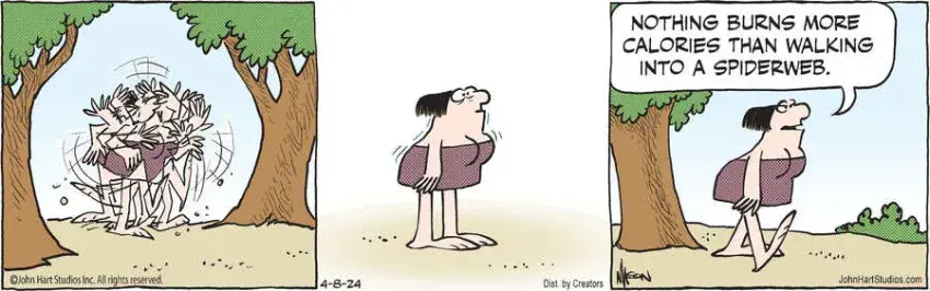 B.C. for Apr 08, 2024