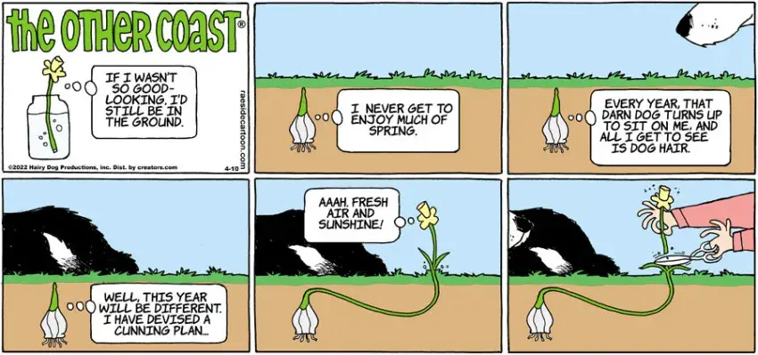 The Other Coast for Apr 10, 2022