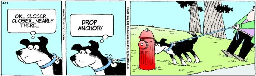 The Other Coast for Apr 11, 2023