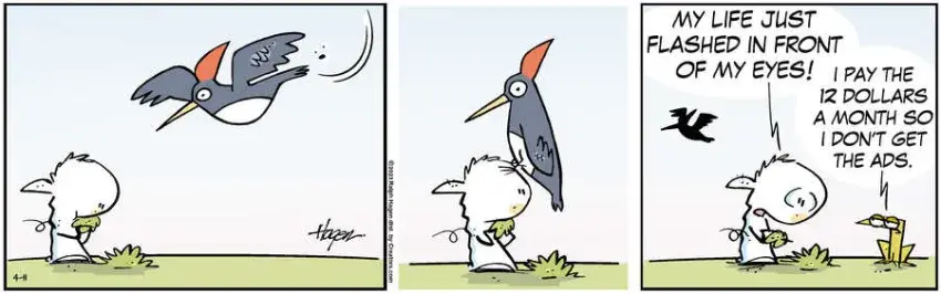 The Barn for Apr 11, 2023