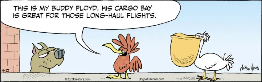 Dogs of C-Kennel for Apr 12, 2022