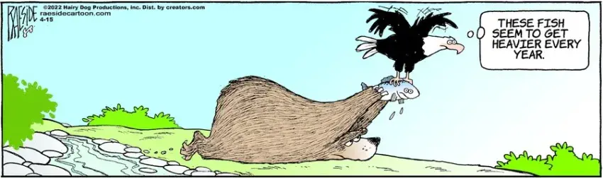 The Other Coast for Apr 15, 2022