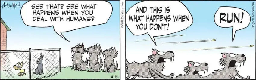 Dogs of C-Kennel for Apr 15, 2023