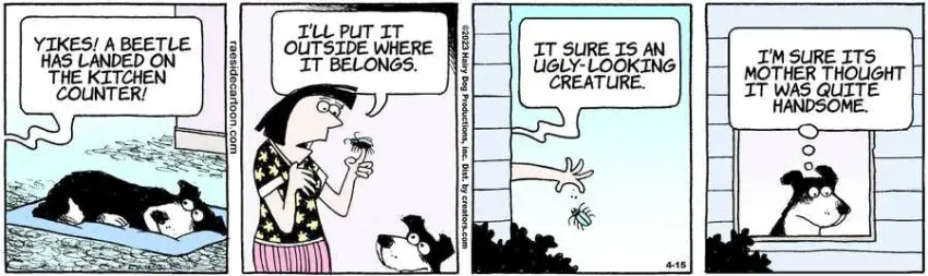 The Other Coast for Apr 15, 2023