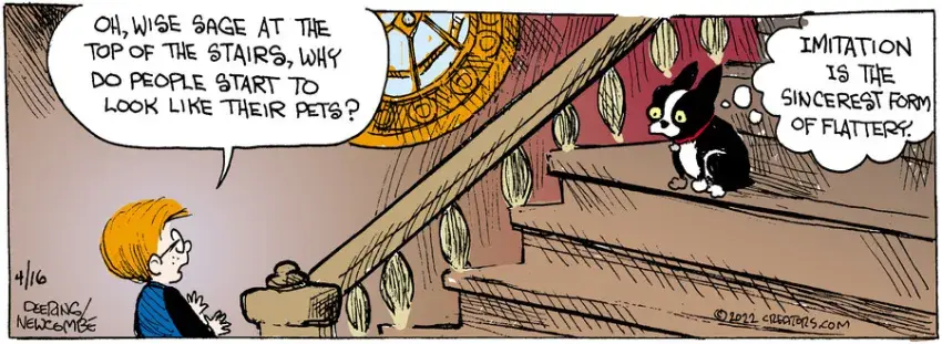 Zack Hill for Apr 16, 2022