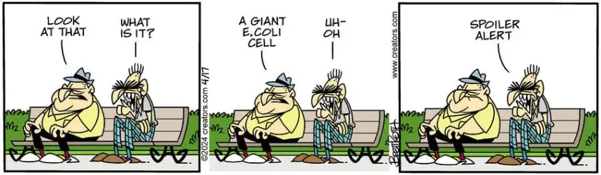 Diamond Lil for Apr 17, 2024