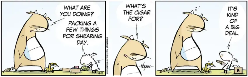 The Barn for Apr 19, 2022