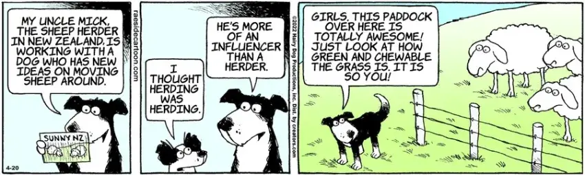 The Other Coast for Apr 20, 2022