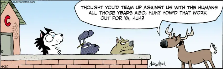 Dogs of C-Kennel for Apr 20, 2022