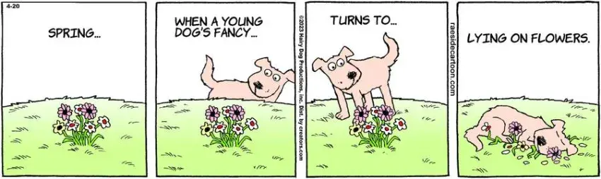 The Other Coast for Apr 20, 2023