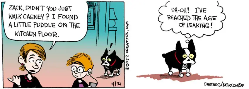 Zack Hill for Apr 21, 2022