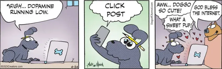 Dogs of C-Kennel for Apr 24, 2023