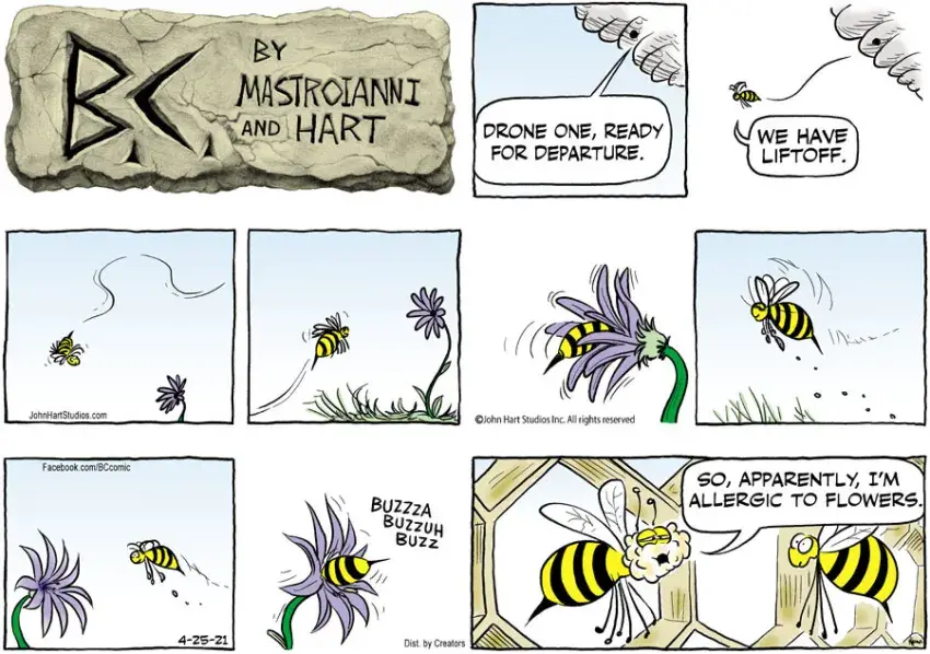 B.C. for Apr 25, 2021