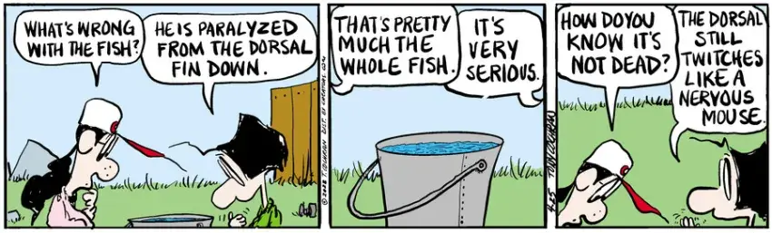 Agnes for Apr 25, 2022