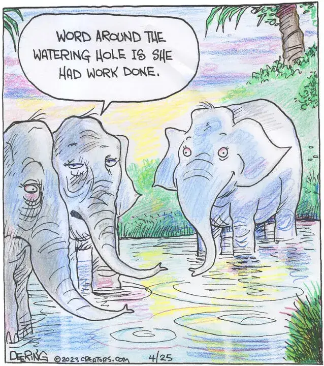 Strange Brew for Apr 25, 2023